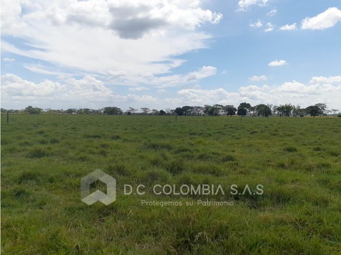 Finca en venta en El Guamo, Villavicencio · foto 12 de 24