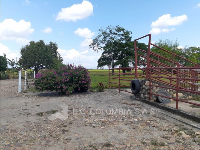 Finca en venta en El Guamo, Villavicencio · foto 19 de 24