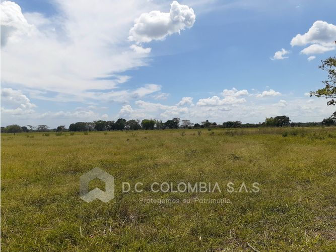 Finca en venta en El Guamo, Villavicencio · foto 23 de 24