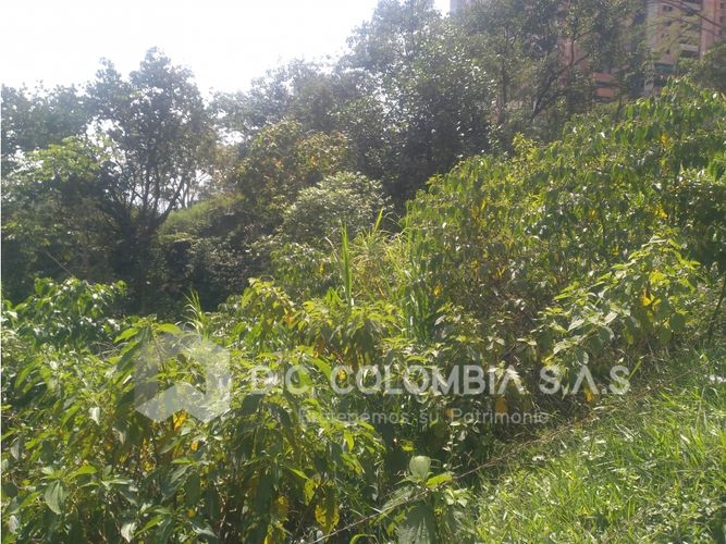 Lote en venta en La Barquereña, Sabaneta, 18663 m² · foto 2 de 24