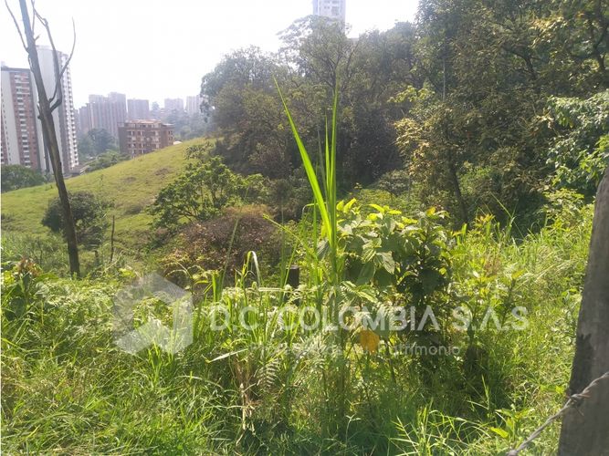 Lote en venta en La Barquereña, Sabaneta, 18663 m² · foto 3 de 24