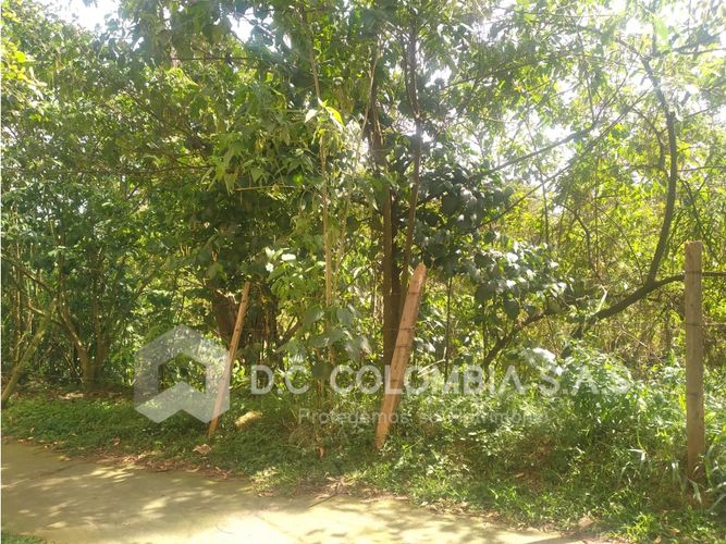 Lote en venta en La Barquereña, Sabaneta, 18663 m² · foto 7 de 24