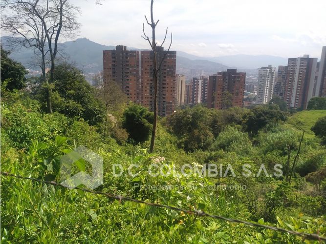 Lote en venta en La Barquereña, Sabaneta, 18663 m² · foto 11 de 24