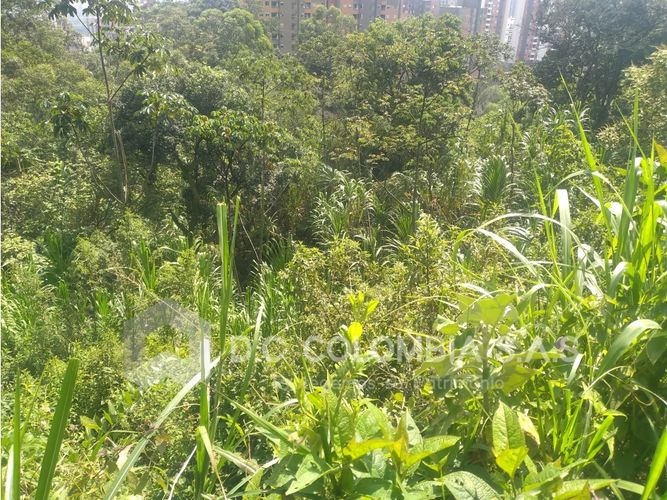 Lote en venta en La Barquereña, Sabaneta, 18663 m² · foto 19 de 24