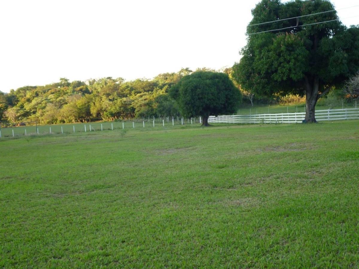 VENDO CASA QUINTA DE 8HAS EN CAACUPE — foto 3