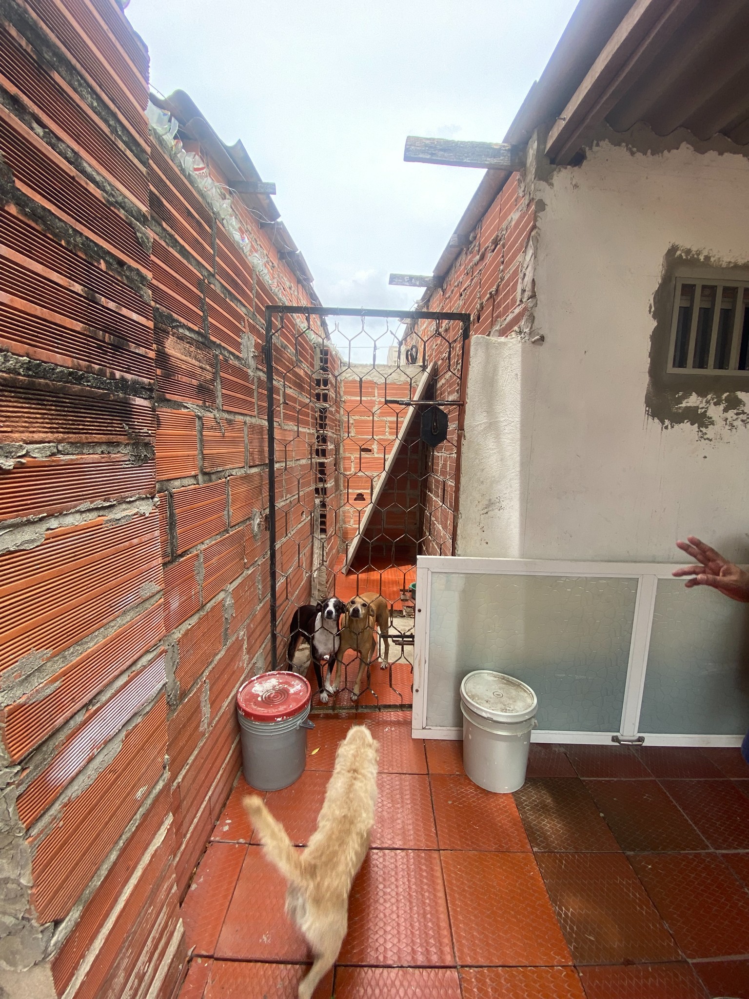 Casa en venta en El Santuario, Barranquilla · foto 14 de 14
