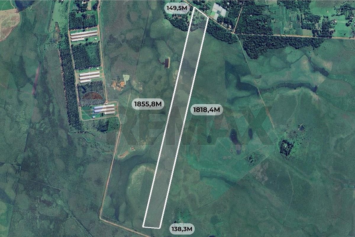 TERRENO DE 25 HECTÁREAS EN SAN JOSÉ DE LOS ARROYOS EN VENTA — foto 2