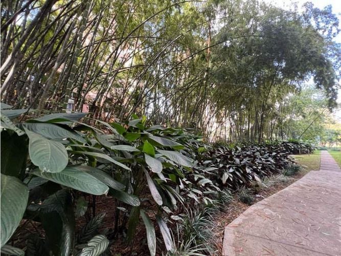 Apartamento en venta en Castropol, Medellín · foto 9 de 16