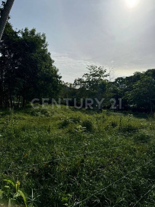 Lote en venta en Aeropuerto Vanguardia, Villavicencio, 3300 m² · foto 2 de 7