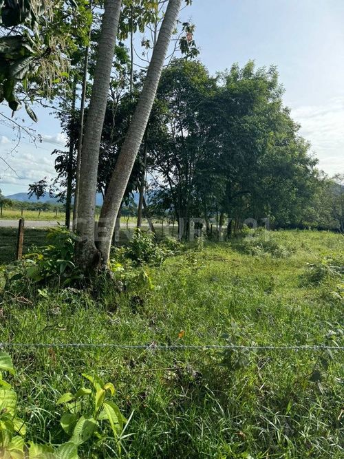Lote en venta en Aeropuerto Vanguardia, Villavicencio, 3300 m² · foto 3 de 7
