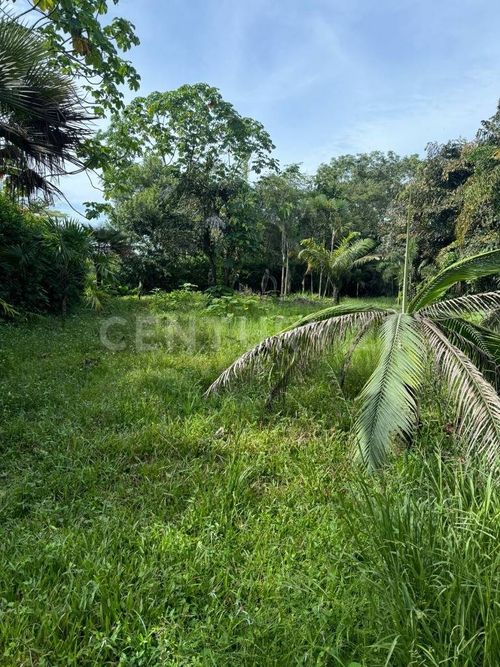Lote en venta en Aeropuerto Vanguardia, Villavicencio, 3300 m² · foto 4 de 7