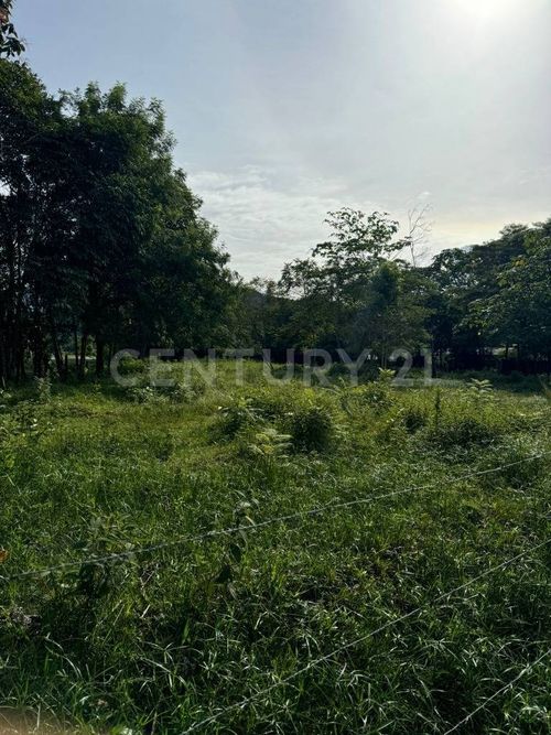 Lote en venta en Aeropuerto Vanguardia, Villavicencio, 3300 m² · foto 5 de 7
