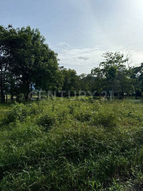 Lote en venta en Aeropuerto Vanguardia, Villavicencio, 3300 m² · foto 7 de 7
