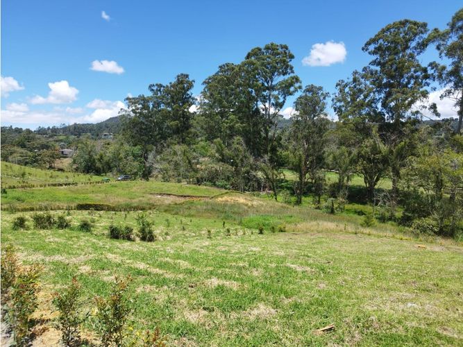 Lote en venta en Vilachuaga, Rionegro, 4116 m² · foto 12 de 20