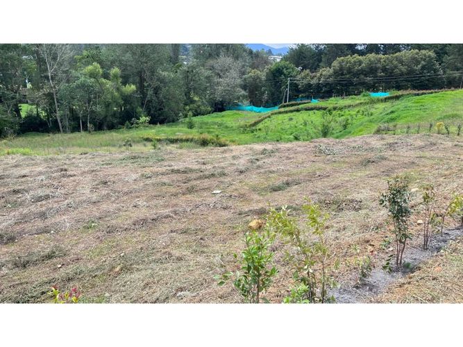 Lote en venta en Vilachuaga, Rionegro, 3136 m² · foto 6 de 20