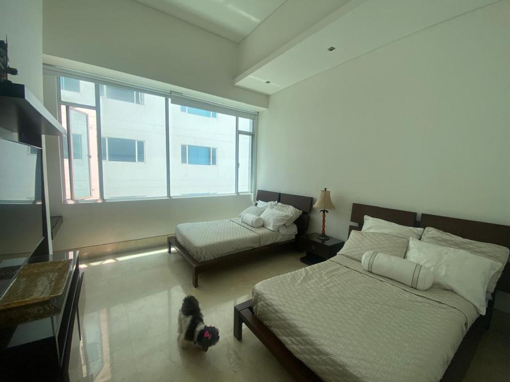Apartamento en venta en El Golf, Barranquilla · foto 4 de 15