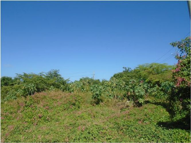 Lote en venta en Villanueva, Barranquilla, 17376 m² · foto 2 de 3