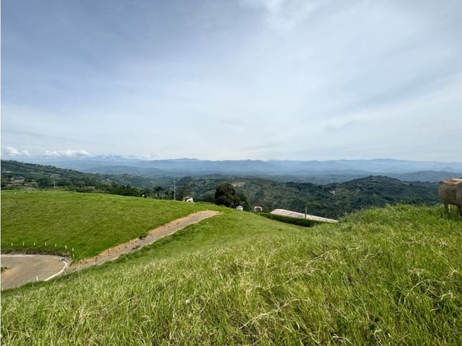 Lote en venta en La Caba�A, Manizales, 5586 m² · foto 4 de 13