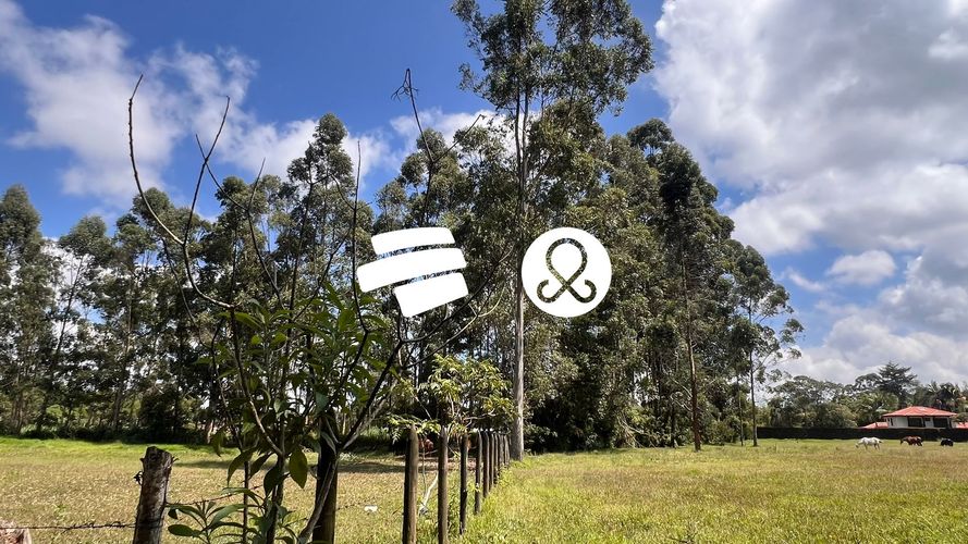 Lote en venta en Llano Grande, Rionegro, 6600 m² · foto 2 de 12