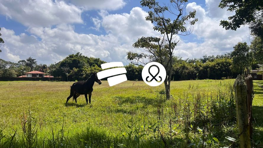 Lote en venta en Llano Grande, Rionegro, 6600 m² · foto 6 de 12
