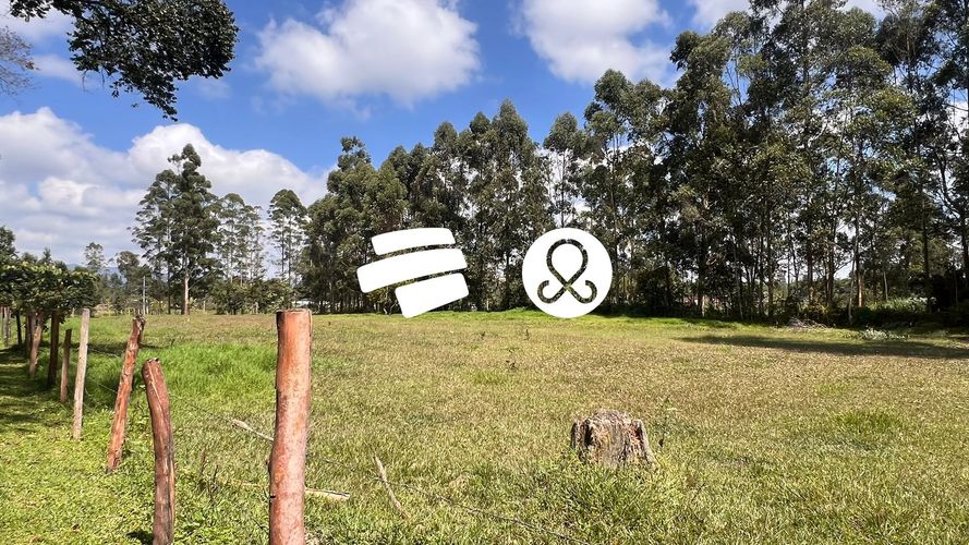 Lote en venta en Llano Grande, Rionegro, 6600 m² · foto 8 de 12