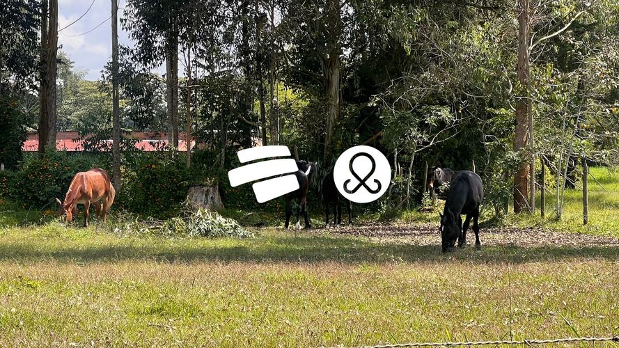 Lote en venta en Llano Grande, Rionegro, 6600 m² · foto 11 de 12