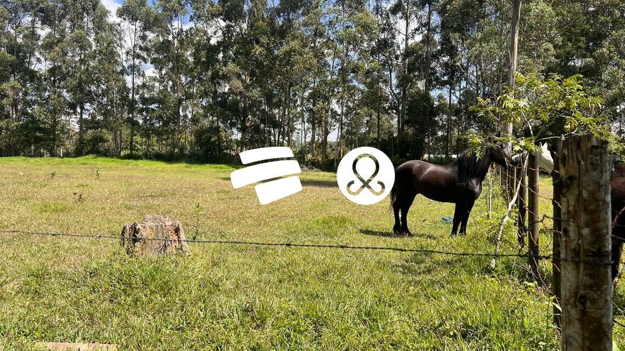 Lote en venta en Llano Grande, Rionegro, 6600 m² · foto 12 de 12