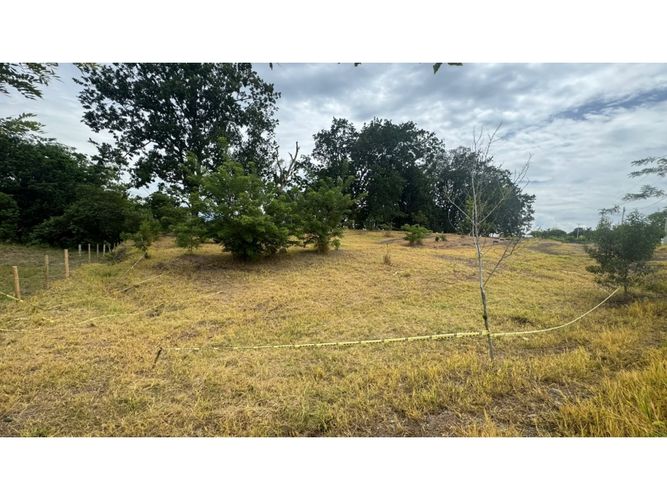 Lote en venta en Cerritos, Pereira, 10000 m² · foto 2 de 13