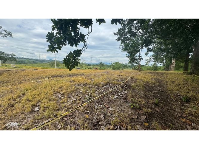 Lote en venta en Cerritos, Pereira, 10000 m² · foto 3 de 13