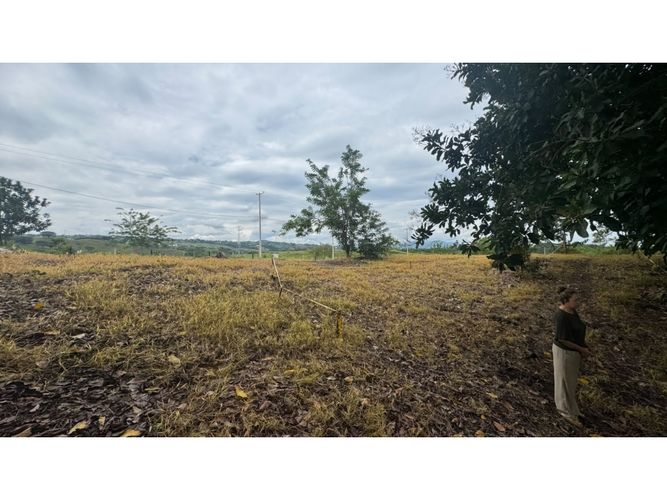 Lote en venta en Cerritos, Pereira, 10000 m² · foto 5 de 13