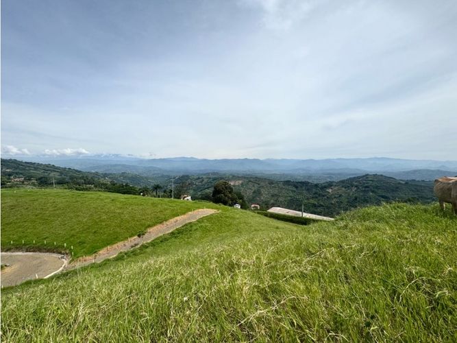 Lote en venta en La Cabaña, Manizales, 3500 m² · foto 4 de 13