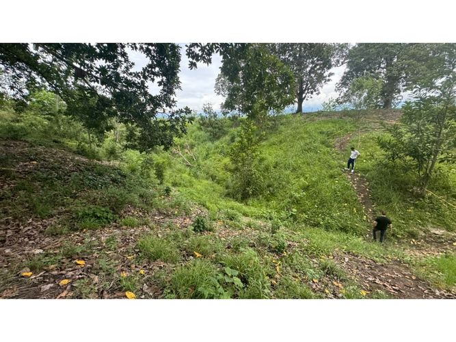 Lote en venta en Cerritos, Pereira, 10000 m² · foto 6 de 13