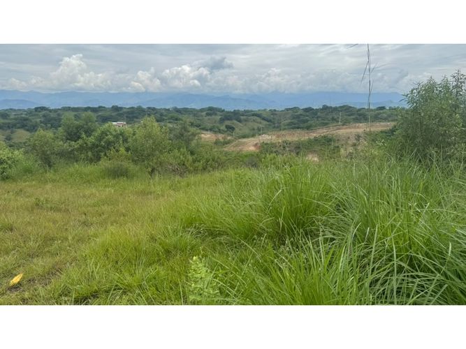 Lote en venta en Cerritos, Pereira, 10000 m² · foto 7 de 13