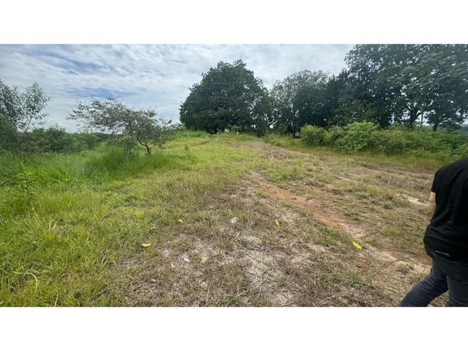 Lote en venta en Cerritos, Pereira, 10000 m² · foto 9 de 13