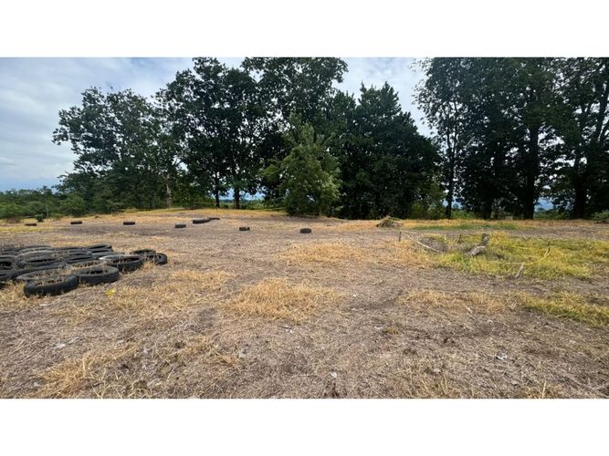 Lote en venta en Cerritos, Pereira, 10000 m² · foto 11 de 13