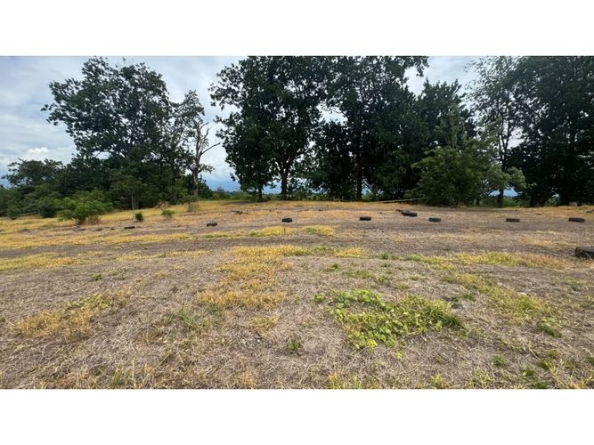 Lote en venta en Cerritos, Pereira, 10000 m² · foto 12 de 13
