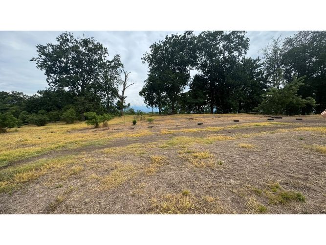 Lote en venta en Cerritos, Pereira, 10000 m² · foto 13 de 13