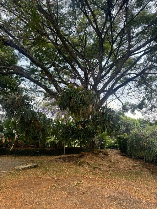 Casa de 3 alcobas en venta en Ciudad Jardin, Cali, 450 m² · foto 13 de 20
