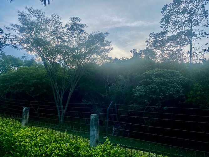Casa de 3 alcobas en venta en Ciudad Jardin, Cali, 450 m² · foto 19 de 20