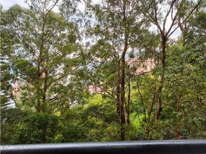 Apartamento de 3 alcobas en arriendo en Vía Las Palmas, Medellín, 80 m² · foto 11 de 24
