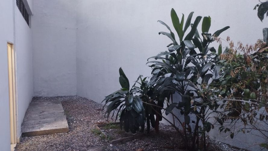 Local en venta en Versalles, Cali, 275 m² · foto 9 de 20