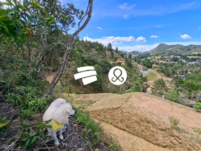 Lote en venta en El Chuscal, El Retiro, 2774 m² · foto 2 de 18