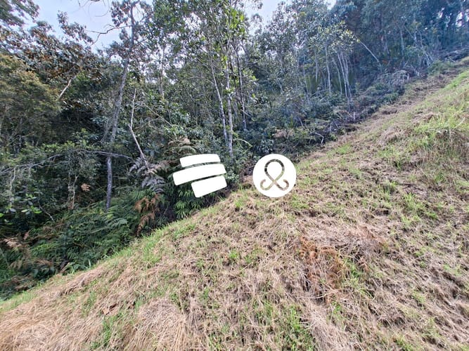 Lote en venta en El Chuscal, El Retiro, 2774 m² · foto 9 de 18