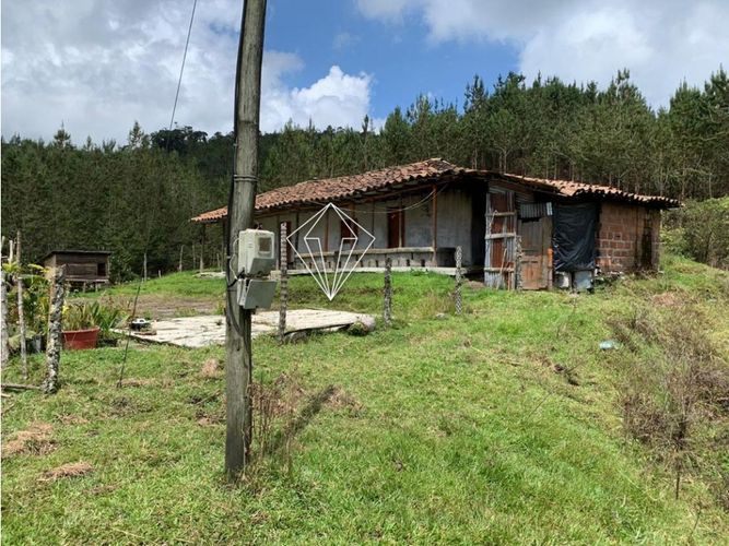 Lote en venta en Campo Alegre, El Carmen de Viboral, 5000 m² · foto 13 de 23