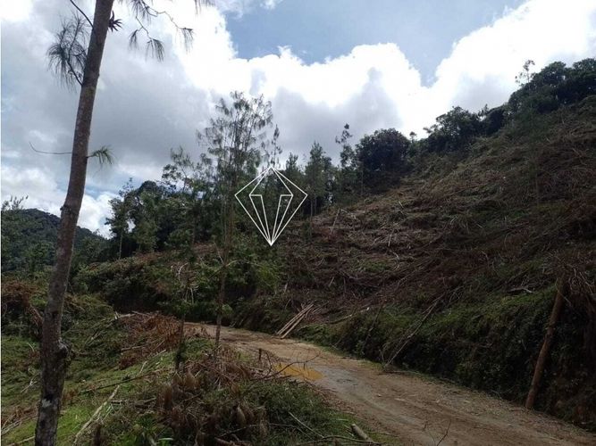 Lote en venta en Campo Alegre, El Carmen de Viboral, 5000 m² · foto 14 de 23