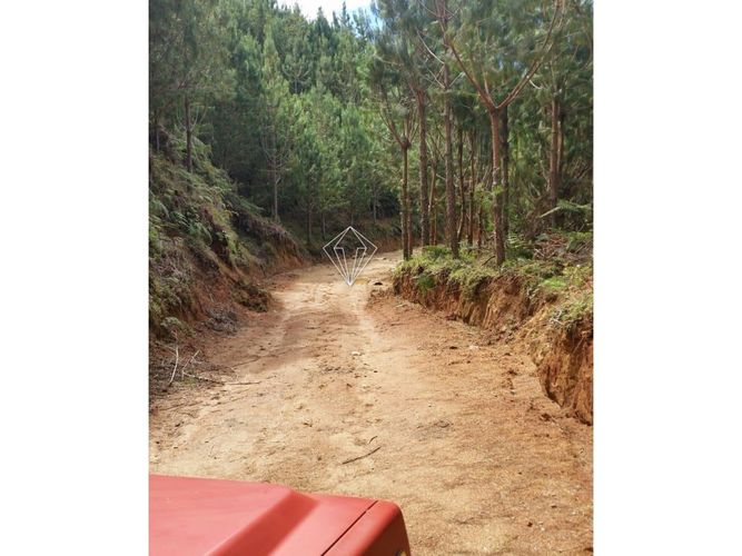 Lote en venta en Campo Alegre, El Carmen de Viboral, 5000 m² · foto 16 de 23