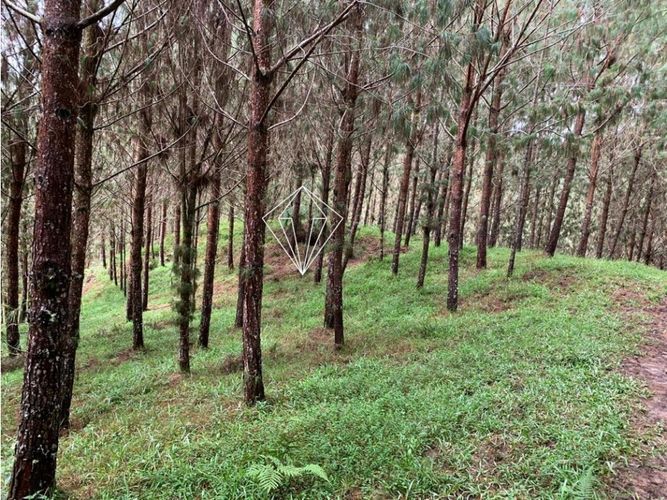 Lote en venta en Campo Alegre, El Carmen de Viboral, 5000 m² · foto 17 de 23