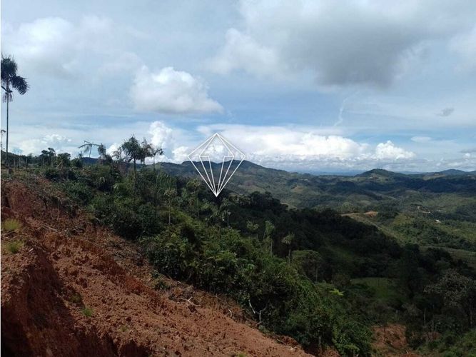 Lote en venta en Campo Alegre, El Carmen de Viboral, 5000 m² · foto 18 de 23