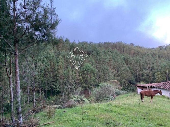 Lote en venta en Campo Alegre, El Carmen de Viboral, 5000 m² · foto 19 de 23