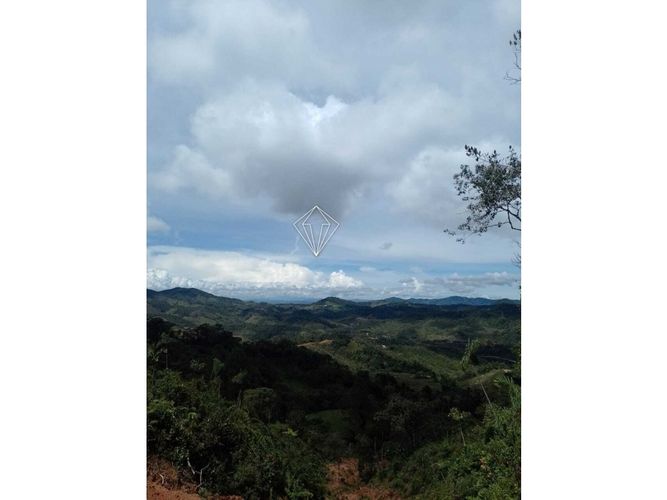 Lote en venta en Campo Alegre, El Carmen de Viboral, 5000 m² · foto 20 de 23